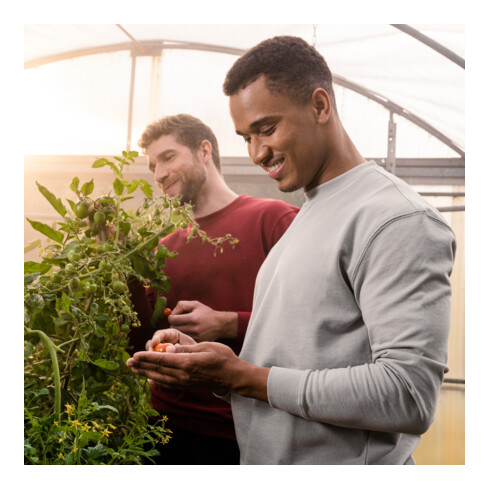 STIER Crew Sweat Style Print organic cotton