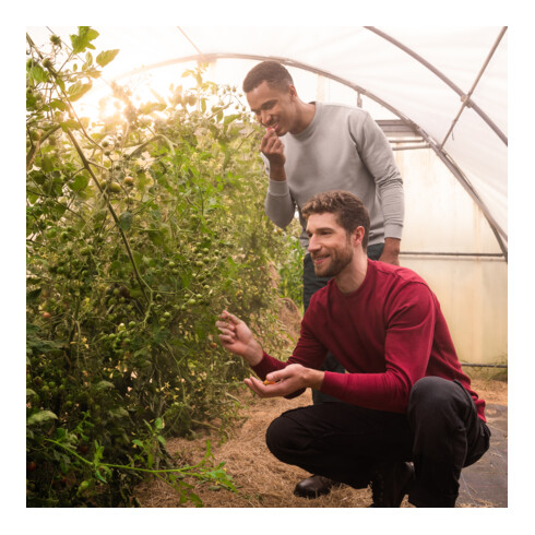 STIER Crew Sweat Style Print M Deep Red