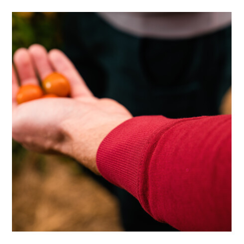 STIER Crew Sweat Style Print M Deep Red