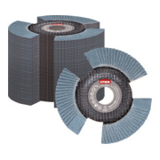 STIER Disco abrasivo lamellare View Line 125 x 22,23