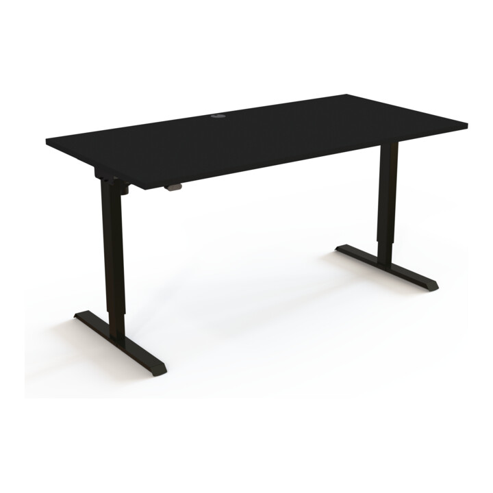 STIER Elektrisch höhenverstellbarer Schreibtisch 501-20 160 x 80 cm Schwarz Schwarz