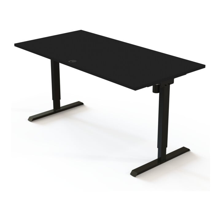 STIER Elektrisch höhenverstellbarer Schreibtisch 501-20 160 x 80 cm Schwarz Schwarz