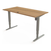 STIER Elektrisch höhenverstellbarer Schreibtisch 501-43 160 x 80cm Nussbaum-4
