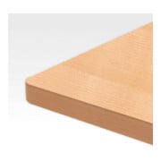 STIER Elektrisch höhenverstellbarer Schreibtisch 501-53 Doppel-Teleskop Buche mel. 63-123cm-5