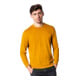 STIER Longsleeve L Golden Brown