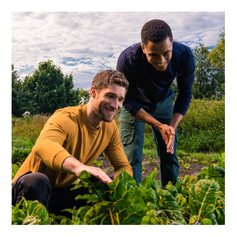 STIER Longsleeve XXL Golden Brown