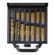 STIER Professional Metall Bohrerset HSS(M2)-G+Tin im Metallkoffer, 99-teilig