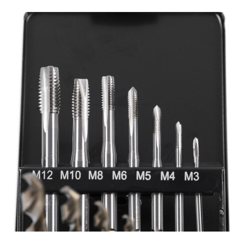 STIER Set di maschi a macchina e filettatori HSS-E Co8 M3-M12 forma B