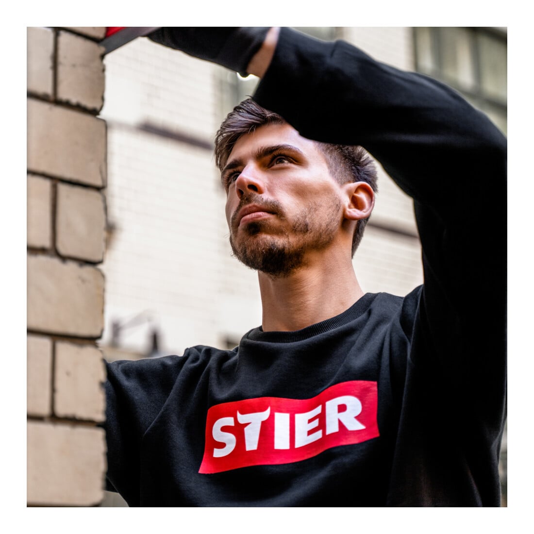 STIER Sweater redroar