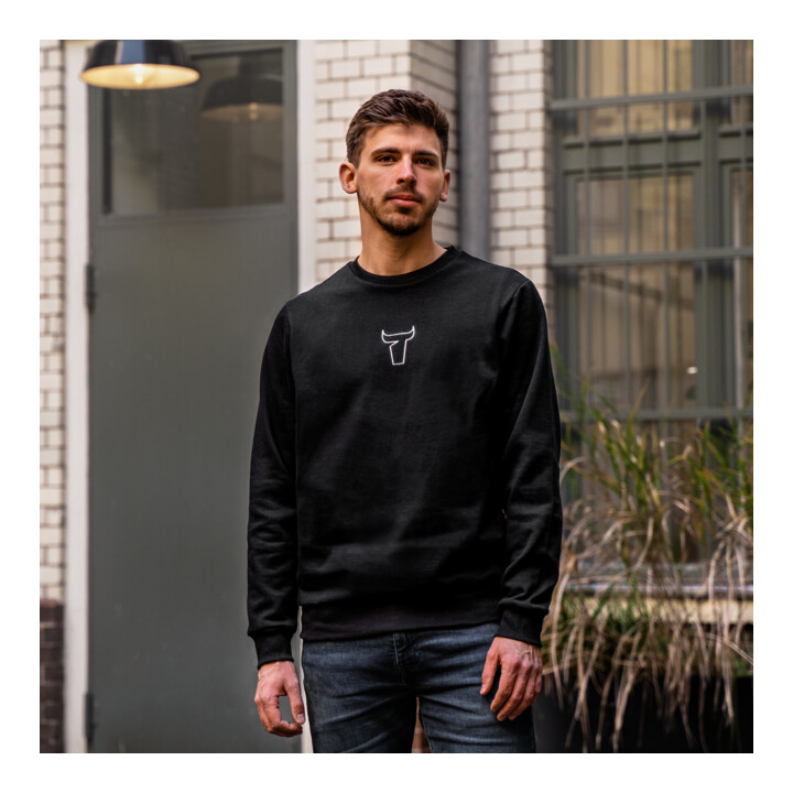 STIER Sweater skull limited