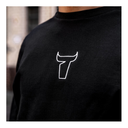 STIER sweater skull limited