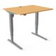 STIER Table haute 501-43 électrique réglable en hauteur 65-125 cm 100 × 80 cm Hêtre/Argent