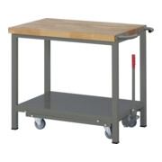 STIER werkbank Premium met neerlaatbaar onderstel BxDxH 1000x700x880 mm-1