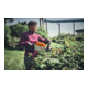 Stihl Accu-haagschaar HSA 140 R, snijlengte 60 cm, zonder accu en lader
