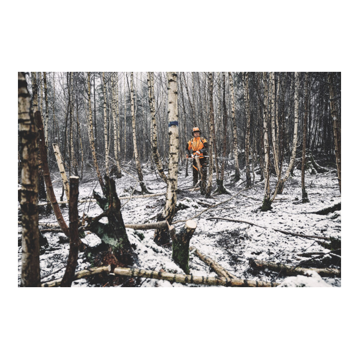 Stihl Accu-hoge takkenschaar HTA 150, zonder accu en oplader, bosvariant