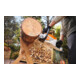 Stihl Accu-Kettingzaag MSA 80 C-B, zonder accu en oplader