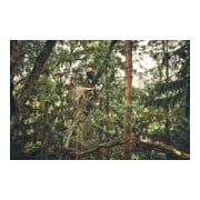 Stihl Accu-motorkettingzaag MSA 220 T, PS3 Pro, geleideraillengte 35 cm-5