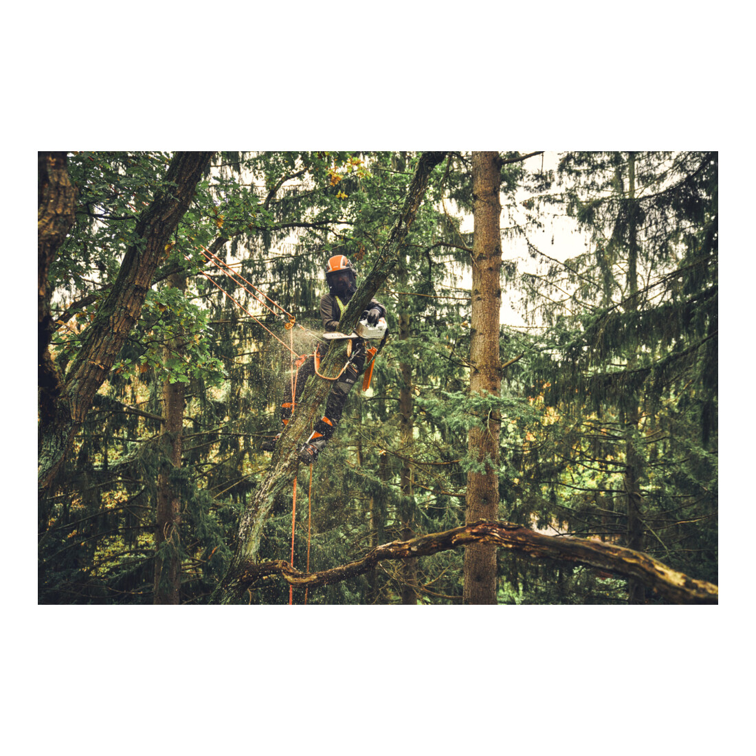 Stihl Accu-motorkettingzaag MSA 220 TC-O, PS3 Pro, zaagbladlengte 35 cm