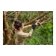 Stihl Accu-takkenknipper GTA 30 Set, PM3, geleiderail lengte 15 cm