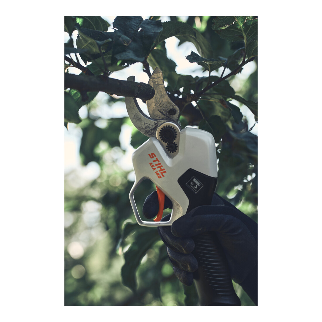 Stihl Akku-Astschere ASA 140