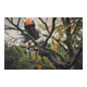 Stihl Akku-Gehölzschneider GTA 40, Set mit 2 x AS 2 und AL 5-2 und Koffer