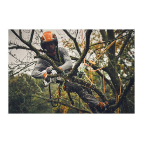 Stihl Akku-Gehölzschneider GTA 40, Set mit 2 x AS 2 und AL 5-2 und Koffer