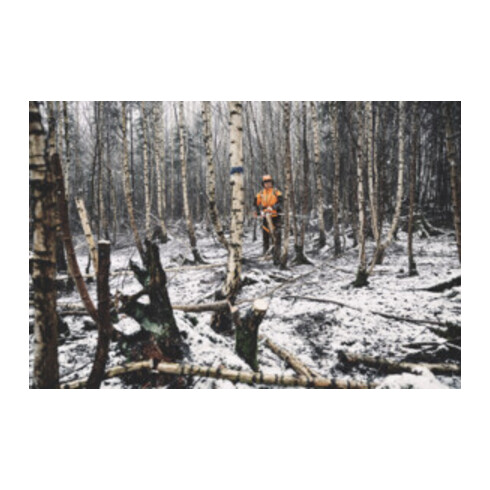 Stihl Akku-Hochentaster HTA 150, ohne Akku und Ladegerät, Forstvariante
