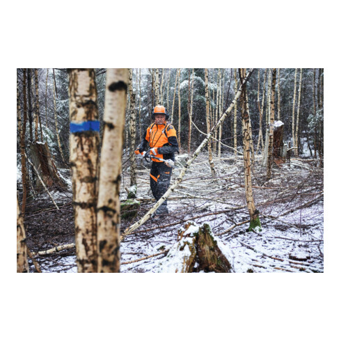 Stihl Akku-Hochentaster HTA 150, ohne Akku und Ladegerät, Forstvariante