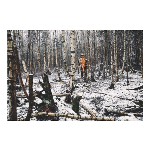 Stihl Akku-Hochentaster HTA 150, ohne Akku und Ladegerät, Forstvariante