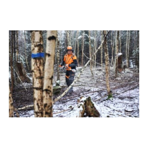 STIHL Akku-Hochentaster HTA 150, ohne Akku und Ladegerät, Pflegevariante