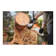Stihl Akku-Kettensäge MSA 80 C-B, ohne Akku und Ladegerät