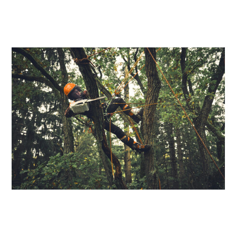 Stihl Akku-Motorsäge MSA 190 T, 1/4", PM3, Schienenlänge 30 cm