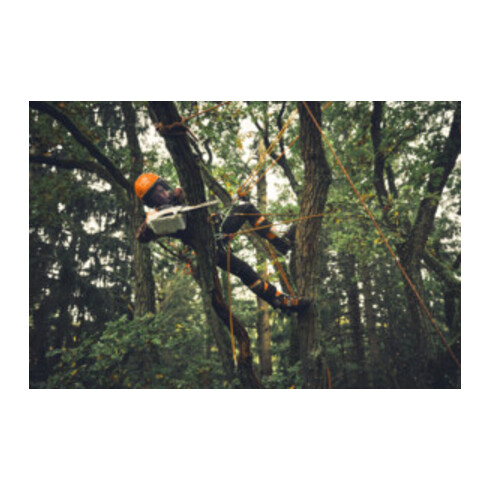 Stihl Akku-Motorsäge MSA 190 T, 1/4", PM3, Schienenlänge 30 cm