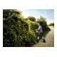 STIHL Benzin-Heckenschere HS 82 R, Schnittlänge 60 cm