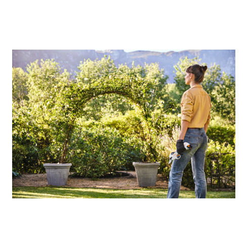 Stihl Cisaille à branches sans fil ASA 20 Set