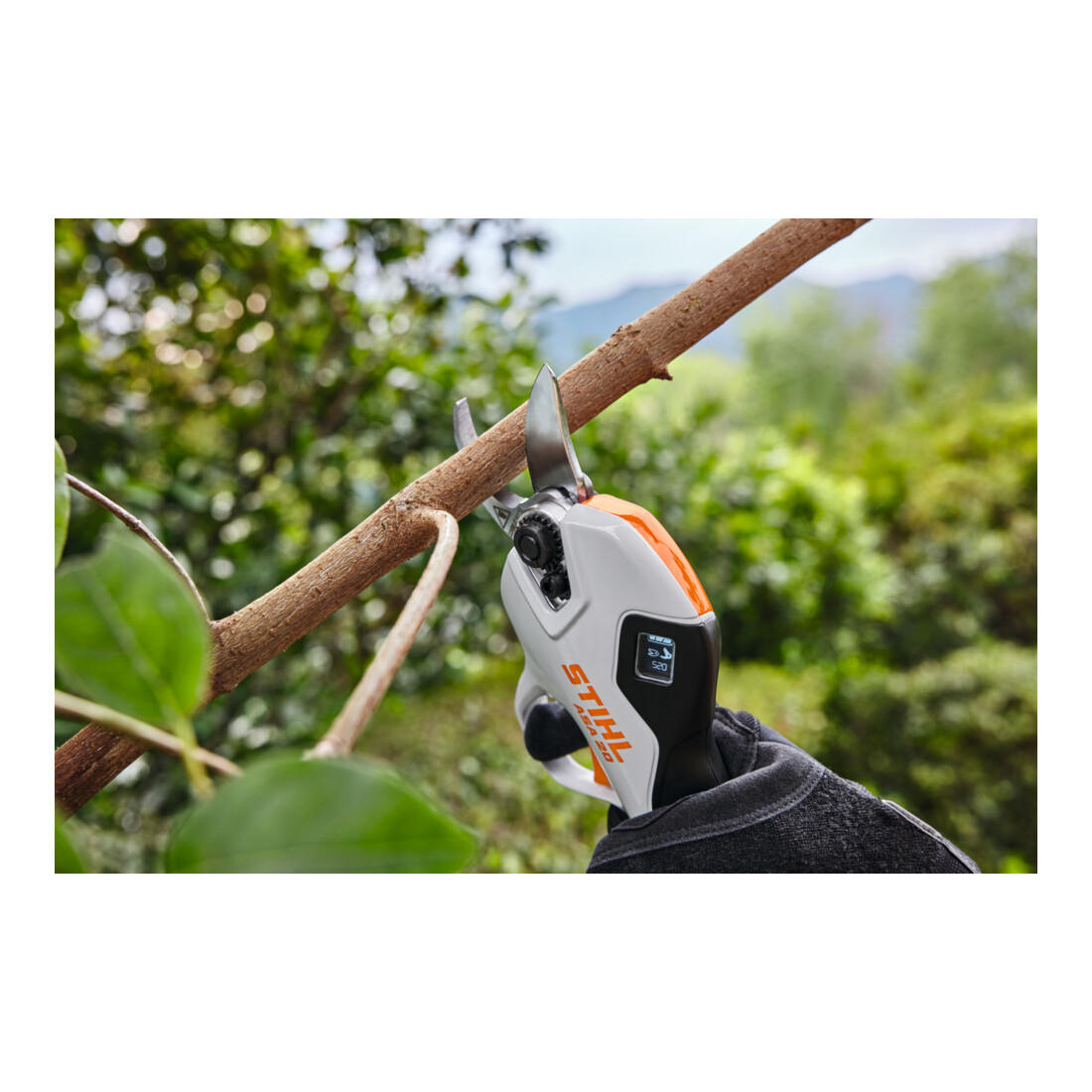 Stihl Cisailles à batterie ASA 20