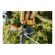 Stihl Débroussailleuse sans fil FSA 80, sans batterie ni chargeur
