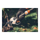 Stihl Ébrancheuse sans fil ASA 130-4