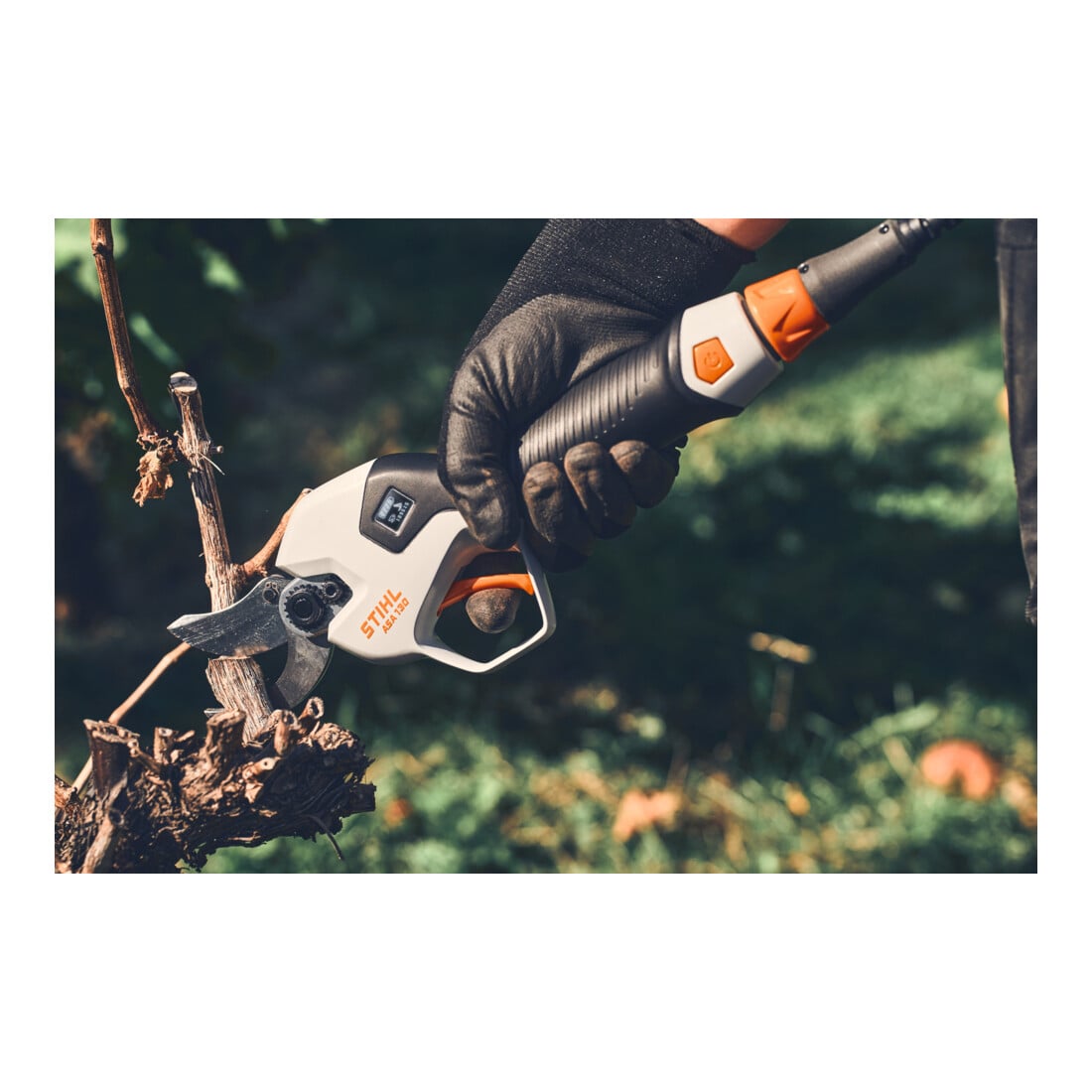 Stihl Ébrancheuse sans fil ASA 130