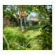 STIHL FSA 80 mit Akku AK 30 und Ladegerät AL 101-5