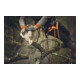 Stihl Führungsschiene Light 01, 15cm/6" 1,1mm/0.043"-4