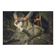 Stihl geleidingsrail Light 01, 15 cm/6" 1,1 mm/0,043"