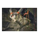 Stihl Guide-chaîne Light 01, 15 cm/6" 1,1 mm/0,043"