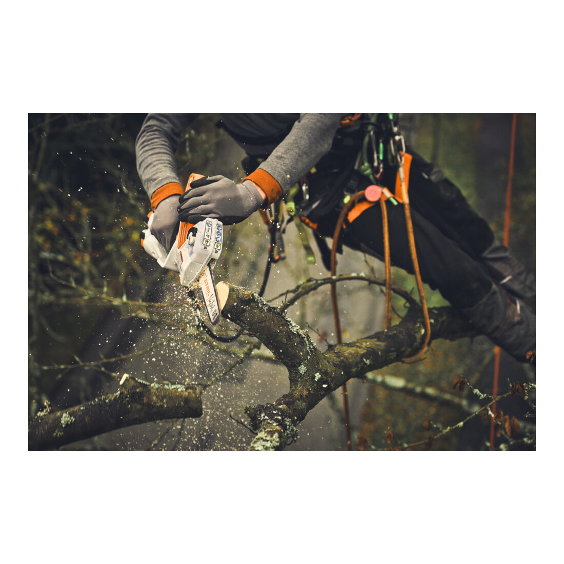 Stihl Guide-chaîne Light 01, 15 cm/6" 1,1 mm/0,043"