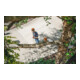 STIHL Hochentaster HT 135-4