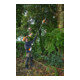 STIHL Hochentaster HTA 66, ohne Akku und Ladegerät-2