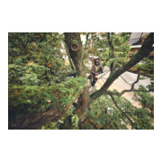 Stihl Motosega a batteria MSA 220 TC-O, PS3 Pro, lunghezza barra 30 cm-5