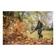Stihl rückentragbare Blasgerät BR 800 C-E