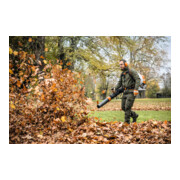 Stihl Souffleur dorsal BR 800 C-E-2