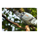 STIHL Taille-haie HTA 86, sans batterie ni chargeur